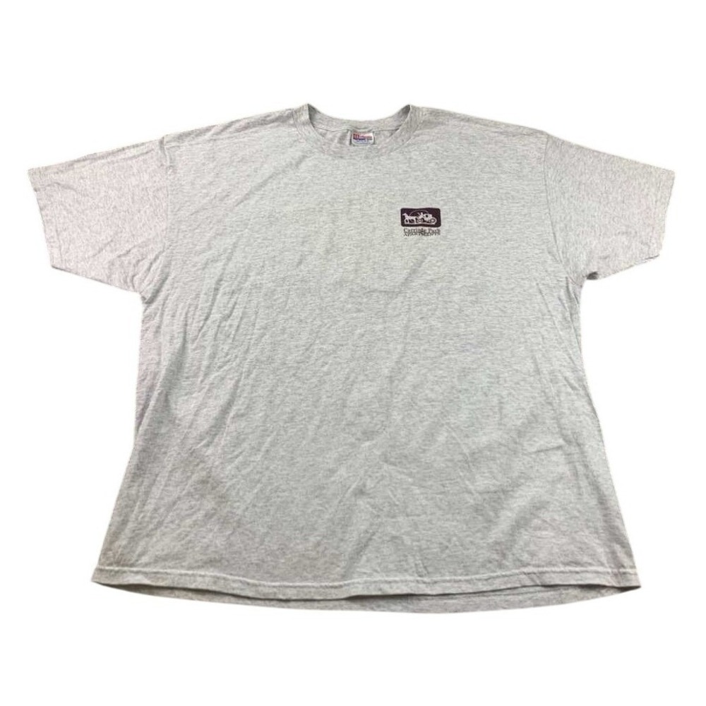 Vintage Hanes T Shirt XXL Carriage Park Apartment Graphic Gray Heavy Weight‎ USA